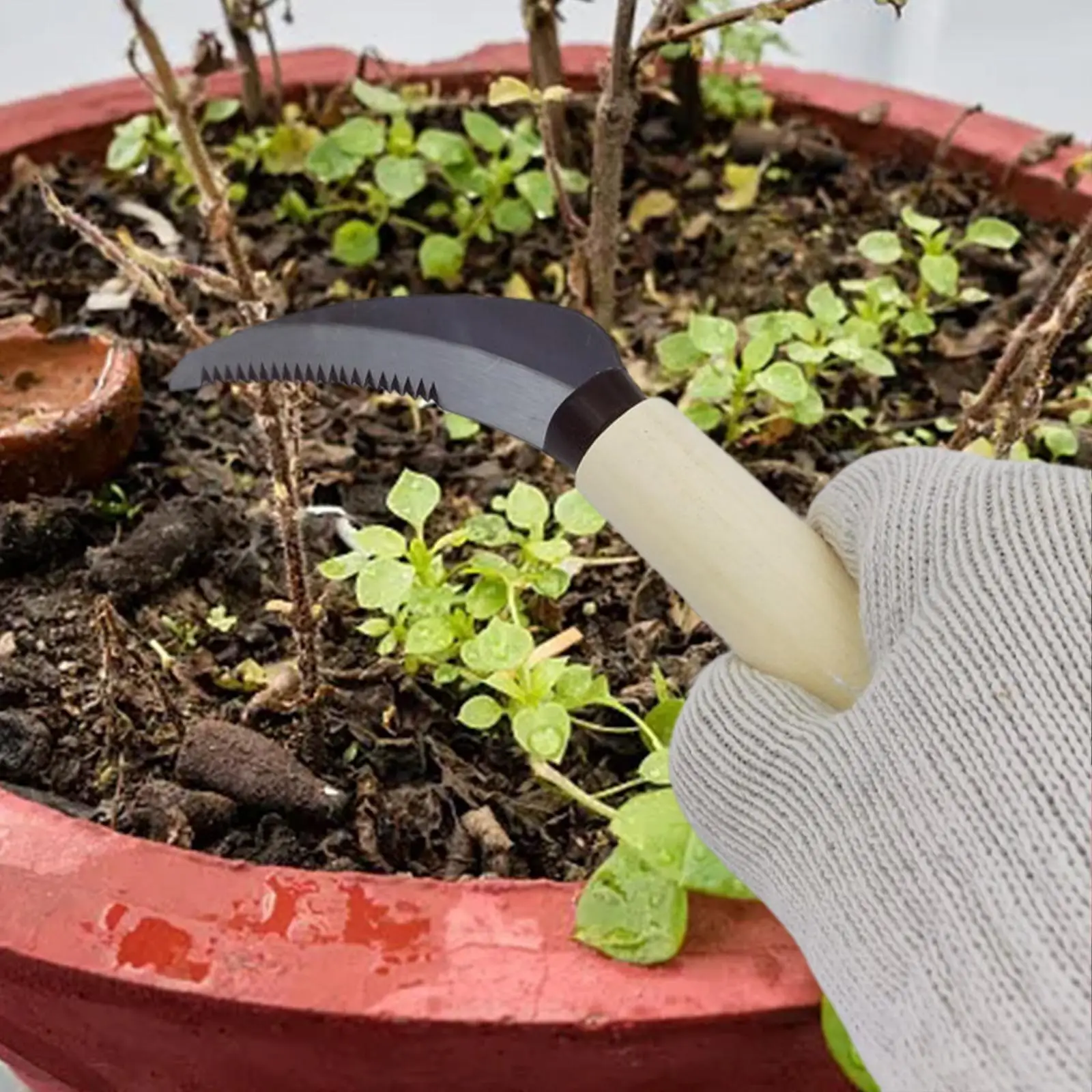 Weeding Sickle with Wooden Handle Crack Weeder Gardening Hand Tools Gardening Sickle for Lawn Patio Terrace Sidewalk Farm 2