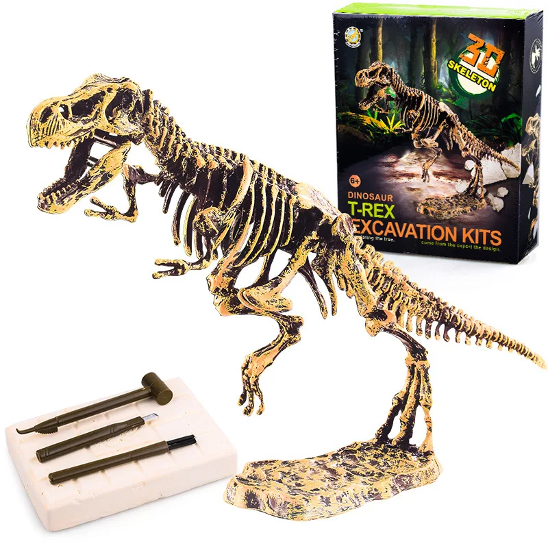 Dinossauro fóssil escavação kits arqueológico escavação brinquedo jurássico  mundo dinossauro esqueleto modelo ciência brinquedos educativos para  meninos - AliExpress