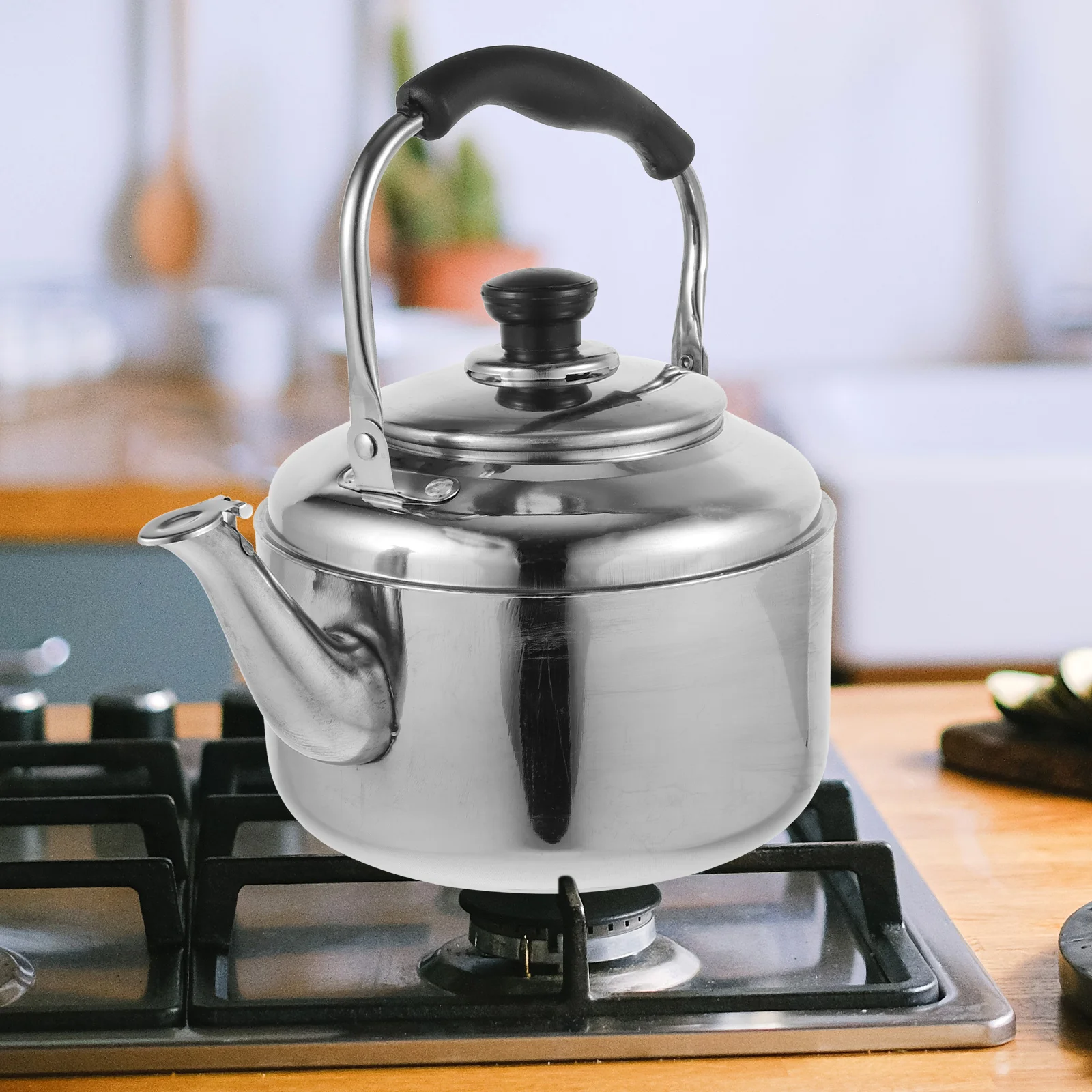

Stainless Steel Kettle Large Capacity Tea Whistling Teakettle Stovetop Water Pot Portable with Cover