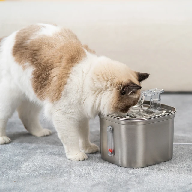 1pc  cat water dispenser stainless steel automatic pet water dispenser with visible water level window, 3
