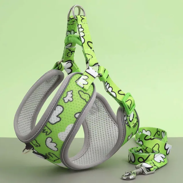 One Dog Harness and Leash Set - Comfort Adjustable - Escape Prevention Pet Leash Vest - For Small to Medium Dogs 5