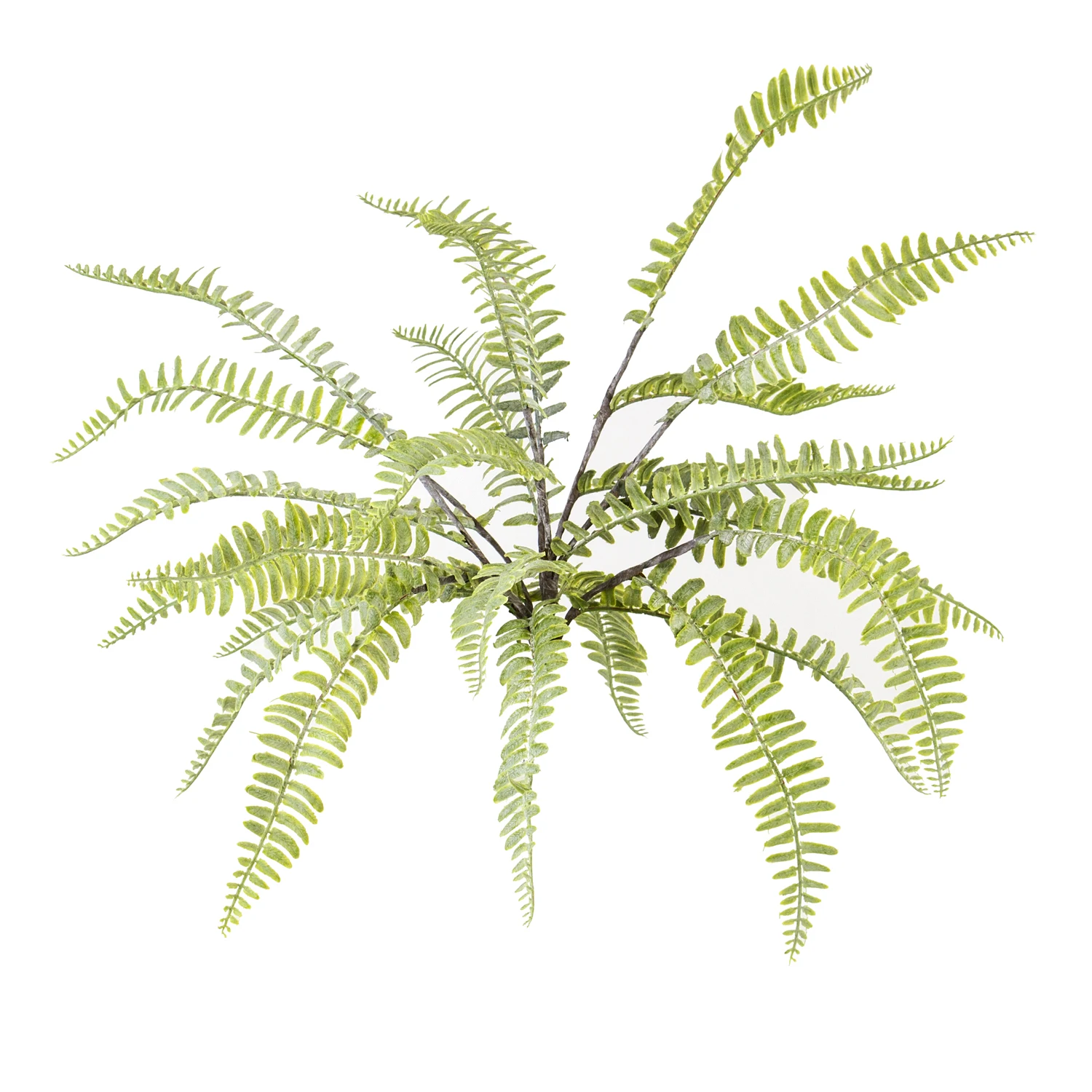 Fujer Artificiale Euro Flora (Scala Dell'Amore) 50 Cm