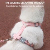 Cat Puppy Outdoor Walking Supplies Fashion Pet Harness and Leash Set for Small Dogs Cats Breathable Durable Kitten Harnesses 5