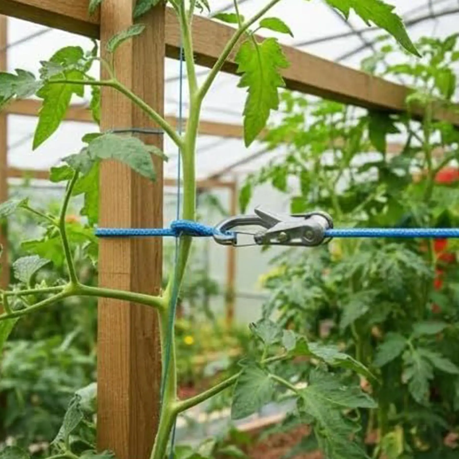 Rope Roller with carabiners