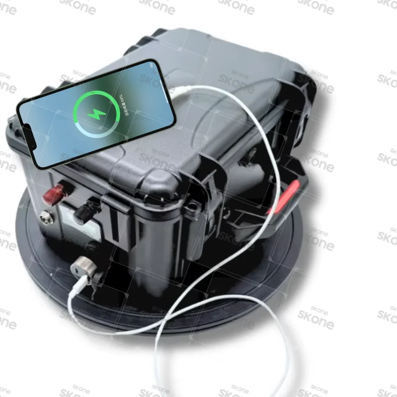 24V Waterproof IP67 Lithium Battery 50Ah-150Ah with BMS and Charger