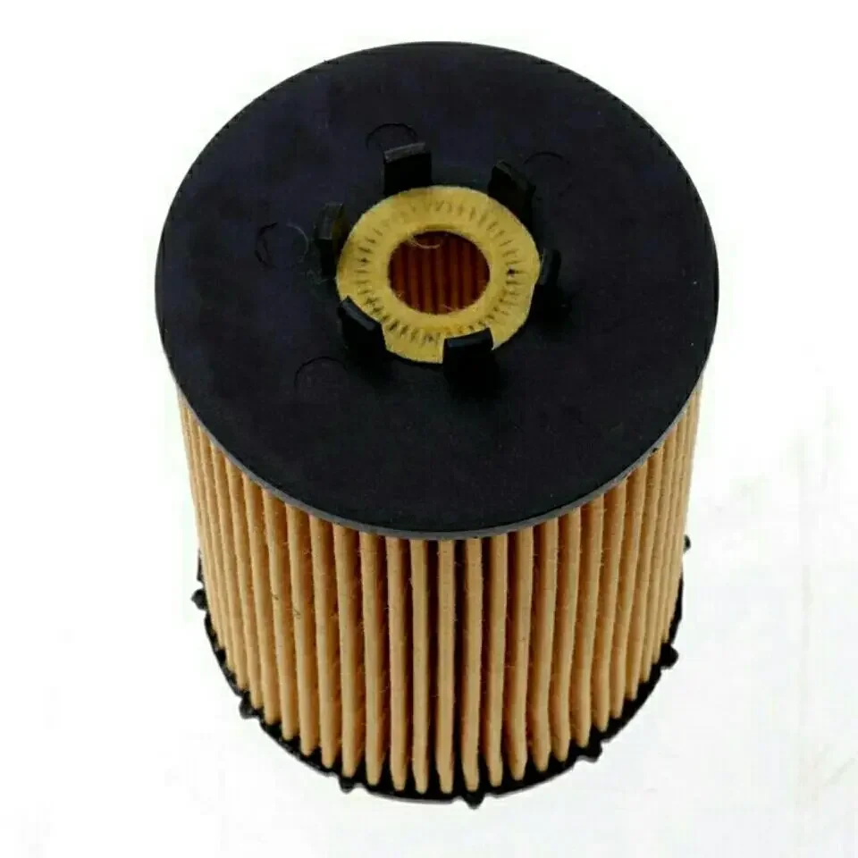 Car Oil Filter for BMW E60 E63 E65 E66 E70 550i 650i 750Li 760i X5 4.8 6.0L