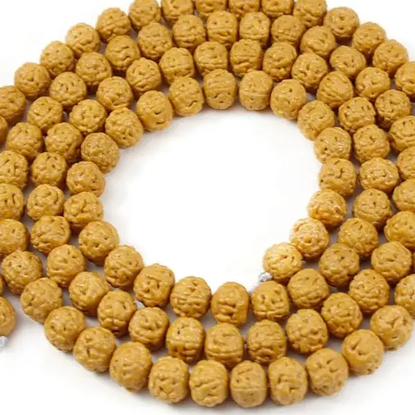 Meetyo Jewelry Accessories Store