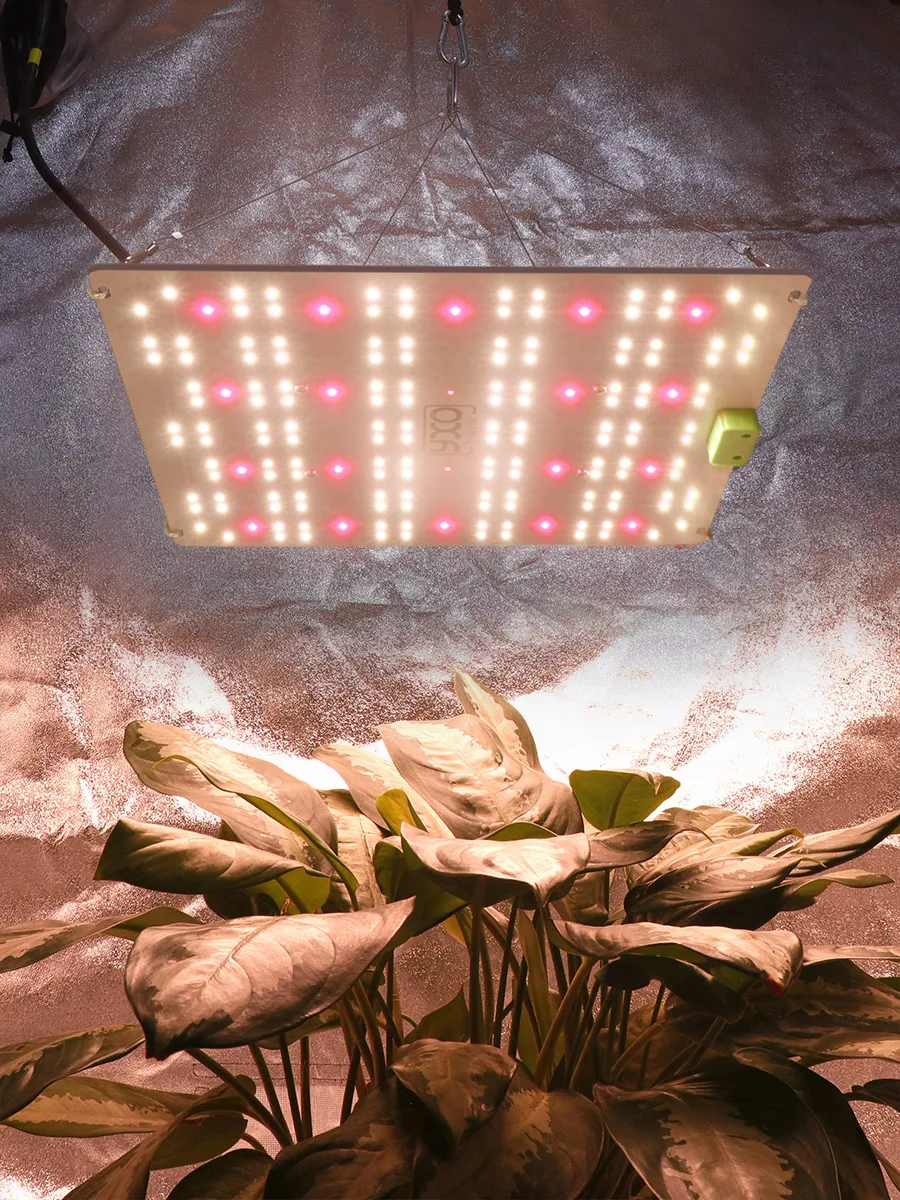 65W 120W LM301H EVO LED Grow Light Full Spectrum Sunlike Indoor Plant Flower Greenhouse Growing Lamp 660nm 395nm 730nm