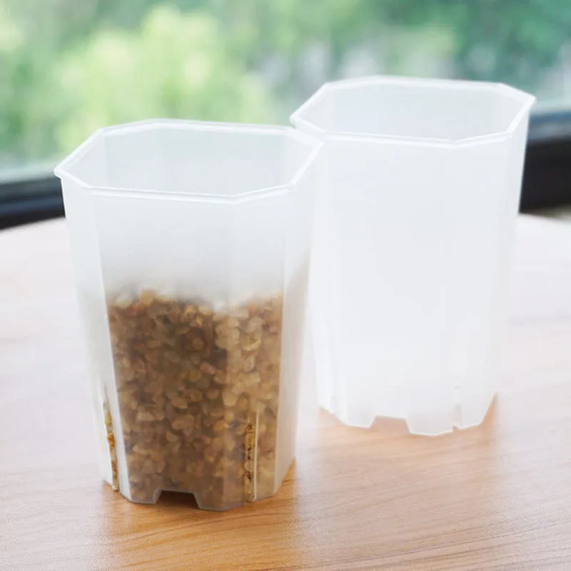 5 Stück transparente weiße achteckige Blumentöpfe – solide kleine Sämling-Pflanzgefäße aus Kunststoff für Sukkulenten, Desktop-Dekoration und Hausgarten – Detail 6