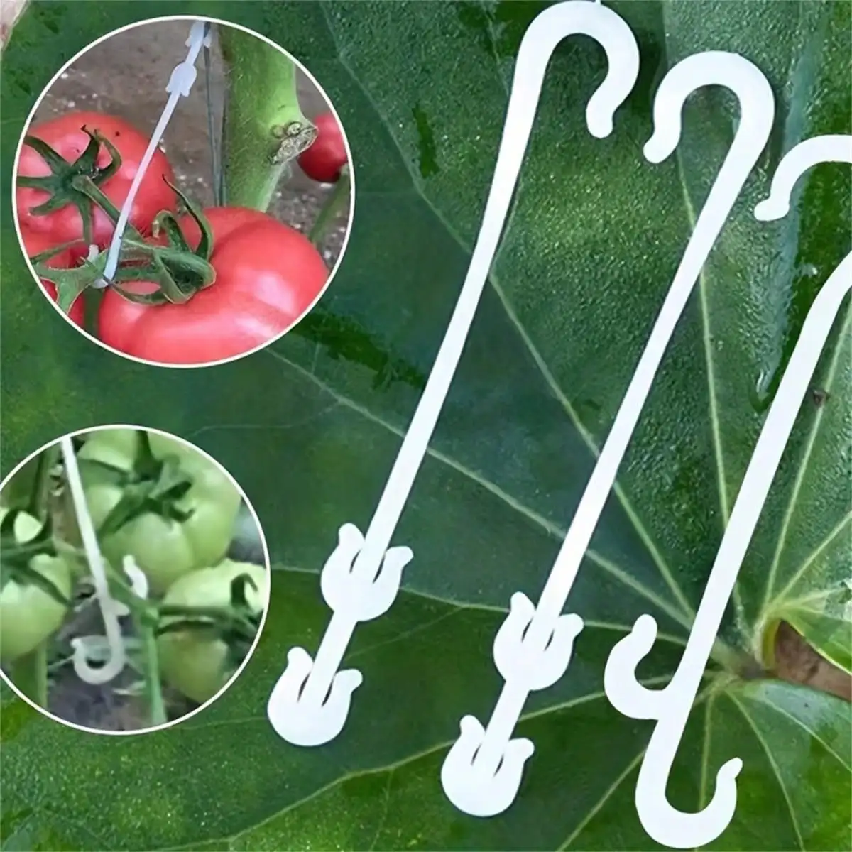 20er-Pack Gemischte Pflanzen- und Fruchthaken zur Unterstützung von Tomaten und Auberginen, verhindern das Herunterfallen