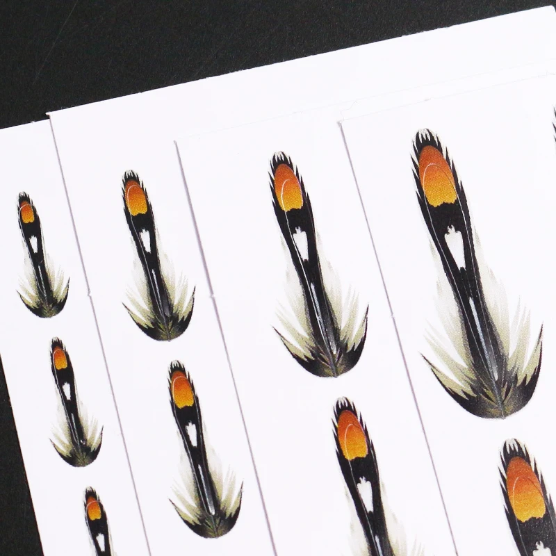 Рисунок 4 - Набор синтетических перьев RoyalSissi