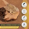Natural Coco Fiber Pet Coir Mat Coconut Fiber Reptile Carpet for Lizards Turtles Snakes Iguana, Gecko, Bearded Dragon, Tortoises 5