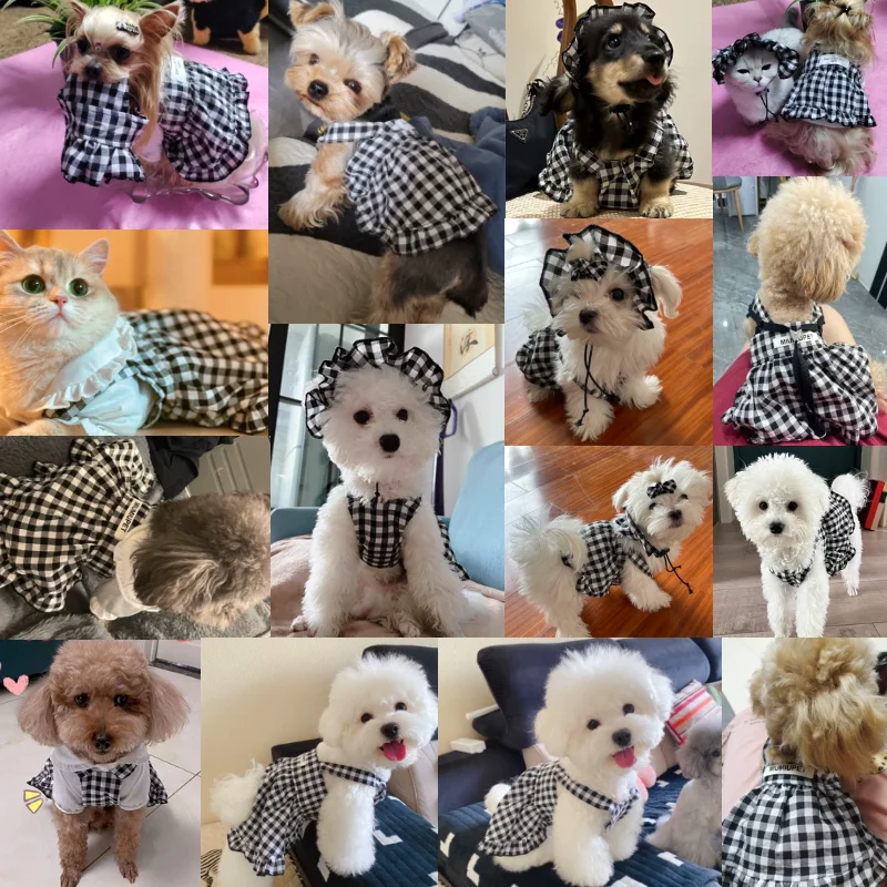 Luxury Dog/Cat Summer Plaid Dress 2
