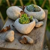 Literary and Creative Small Flowerpots Imitation Pebbles Irregular Desktop Combination Succulent Flowerpots Green Plants 1