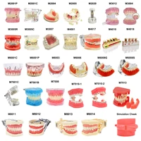 Dental Teeth Model Teaching Model Implant Model Removable Orthodontic Model Dentistry Dentist  Demo Studying Patient Education