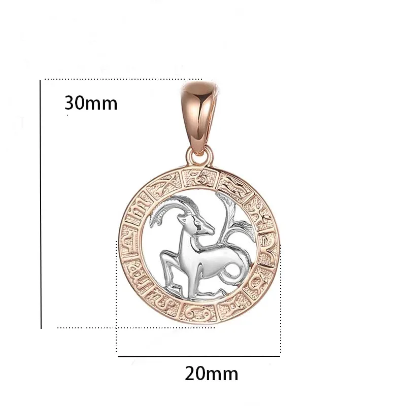 12 Constellation 585 Rose White Gold Zodiac Pisces Pendant Necklace
