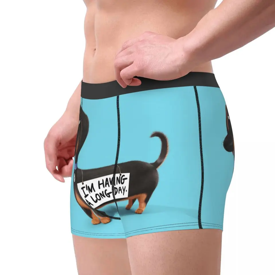 Boxer Homme Imprimé Teckel Parisien - 95% Polyester, 5% élasthanne - Confortable, Respirant, évacue L'humidité - Lavable En Machine