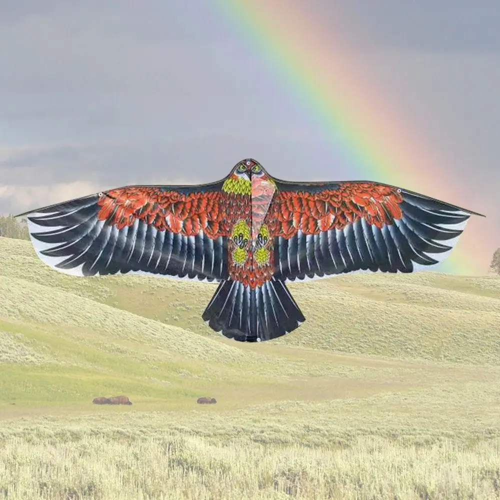 Large Eagle Bird Kite 6