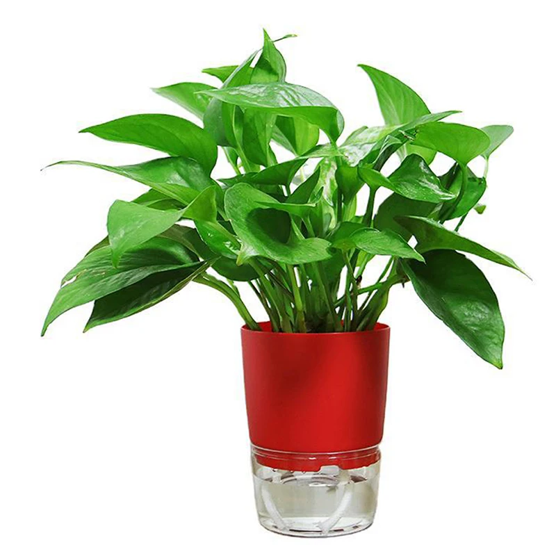 Vaso Autoirrigante Trasparente Con Corde Di Stoppino - Design A Righe Ghiaccio, 11x12,5 Cm, Per Piante Da Interno