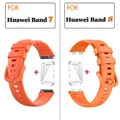 Orange  Bundle