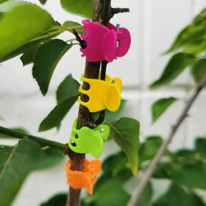 

100pcs Mixed Orchid Clips Reusable Plastic Garden Plant Tomato Clip For Support Flower Vine Stems Ornamental Clips