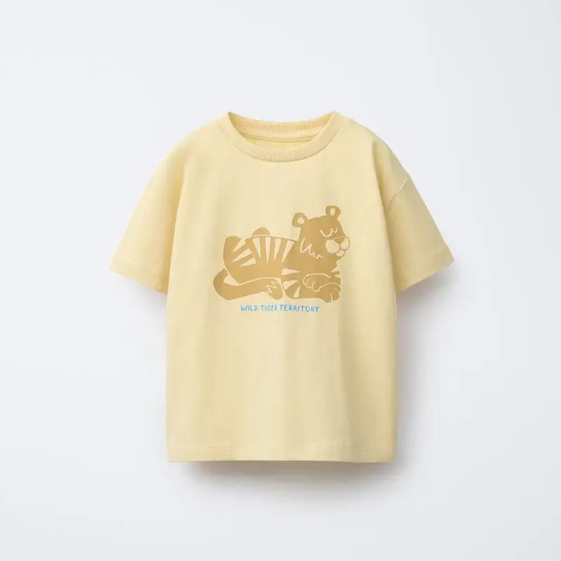 ZZ00151-P11