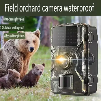HD Outdoor Orchard Anti-Hunting Field Detection Camera Infrared Night Vision LED Animal Monitoring Courtyard Waterproof Hunting 1