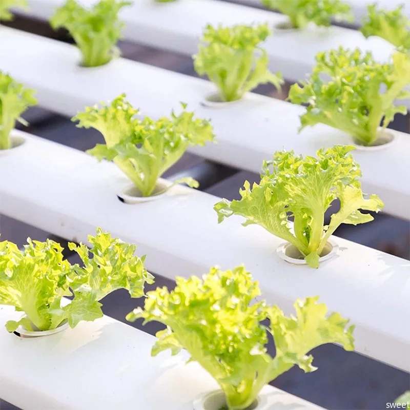 Soilless Seedling Nursery Pods Kit