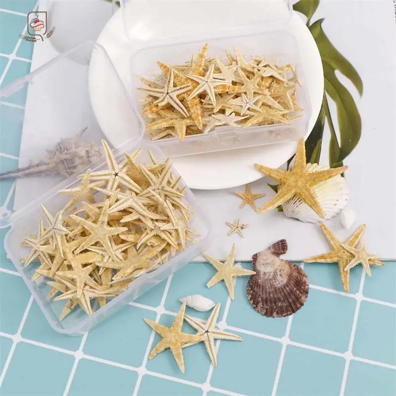 1Box/1pc Round Square Natural Starfish Seashell Beach Craft DIY Beach Wedding Decoration Crafts Home Decor
