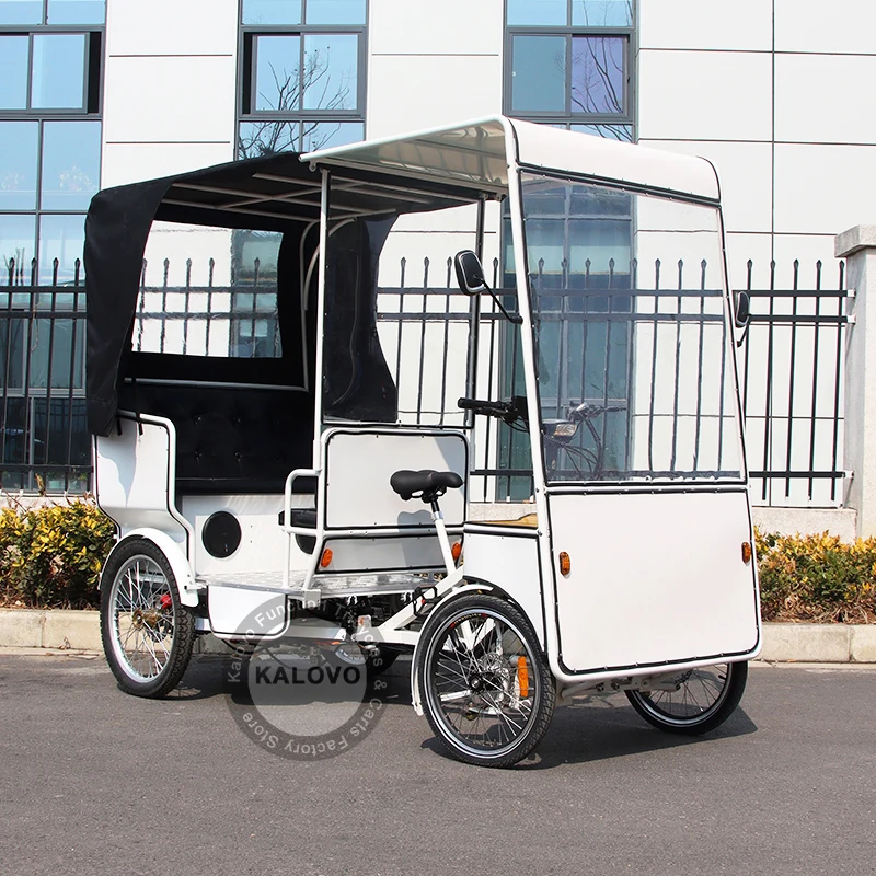 Solar Panel Wheel Adult Rickshaw 1000w Four Wheels Surrey Bike