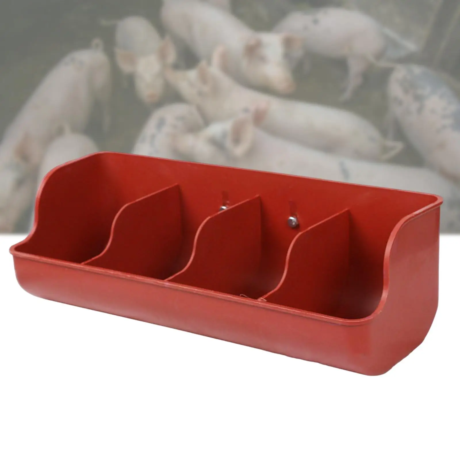 Piglet Livestock Fodder Feeding Bowl 5