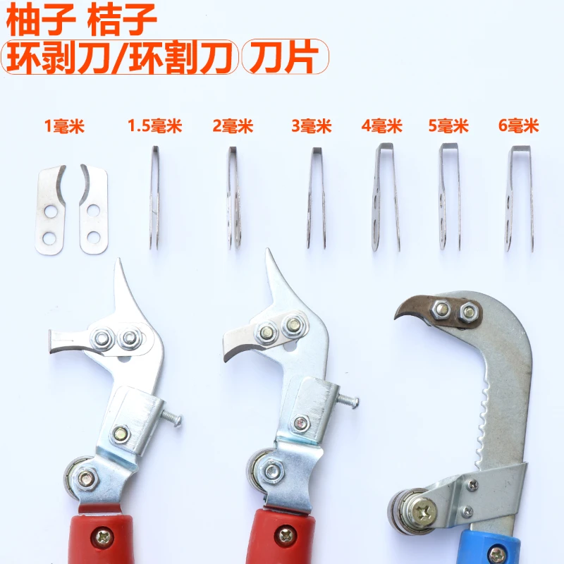 Zucchero Arancio Litchi Anello Taglio Miele Pomelo 101 Anello Peeling 102 Lama Peeling 1 Mm 2 Mm Arancione No.1 No.2 No.3