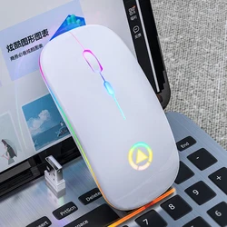 Rechargeable 2.4GHz Wireless Computer Mouse with USB Receiver (White)