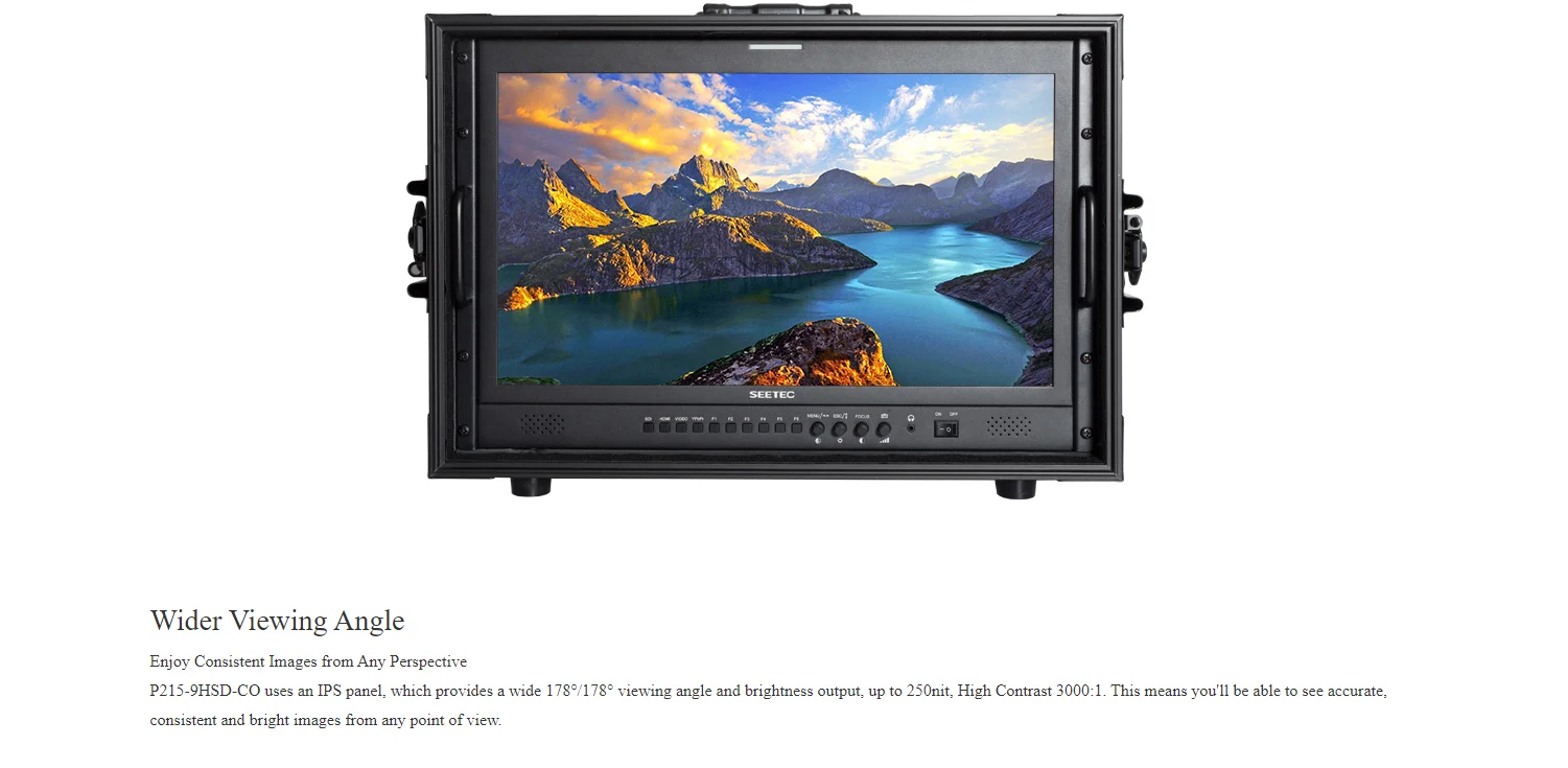 . P215-9HSD-CO 21.5" IPS Full HD 1920x1080 Carry-on Broadcast Director Monitor w