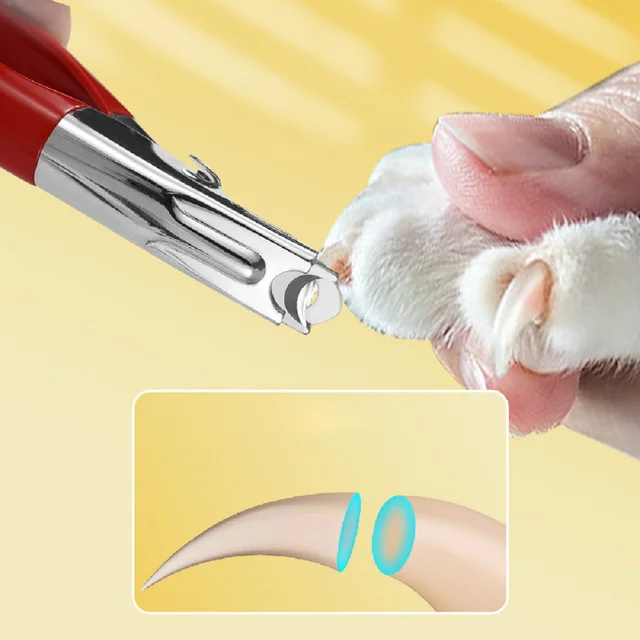 Grooming Cat Dog Stainless Steel Nail Clippers with Cross-Blade Design Precision Safe Clean Paw Care Animal Claws Scissor Cut 2