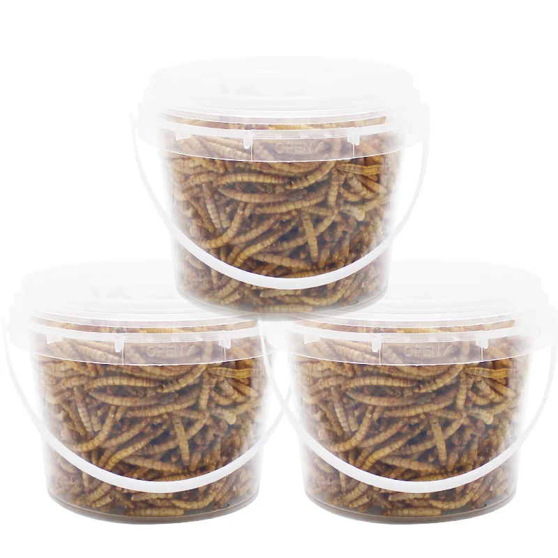 250g High-Protein Mealworms for Wild Bird ,Chicken, Ducks,Fish,Reptile, Tortoise , Amphibian,Lizard