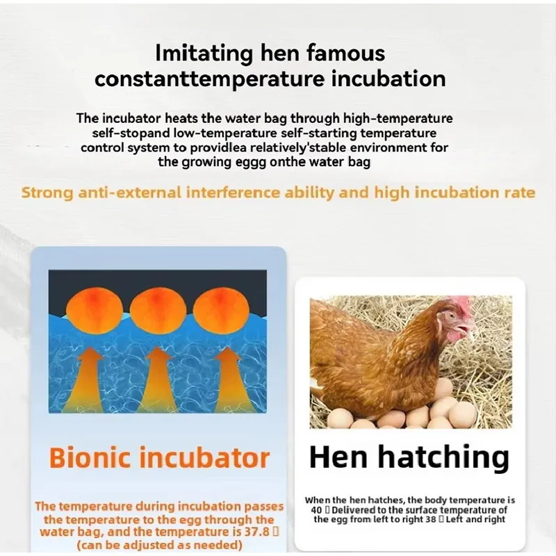 Poultry Egg Incubator 24-hour Thermostatic Biomimetic Waterbed Intelligent