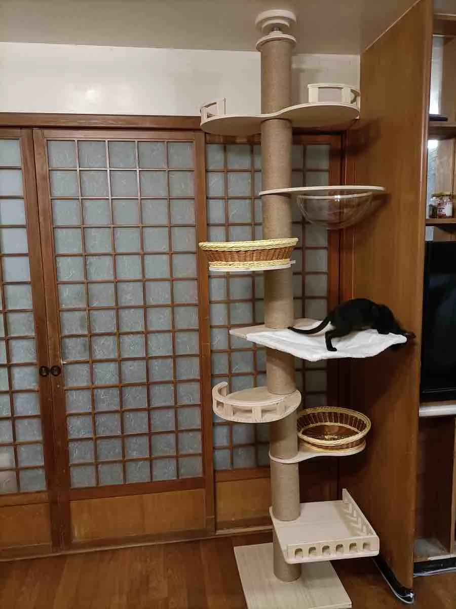 Sa9f30b13e0f848f58d0b139dafe24499z