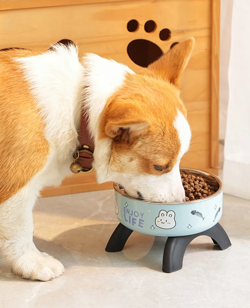 Stainless Steel Cat Bowl High Footed Neck Protection Kitten Bowl Anti-slip Pet Bowl for Dogs Cats - PeticaDeals