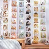 1Roll Tape Weekend Windowsill Collection Matte PET European Priming Vintage Beauty Flowers Stickers Adhesives Scrapbook 60mm*2m 2