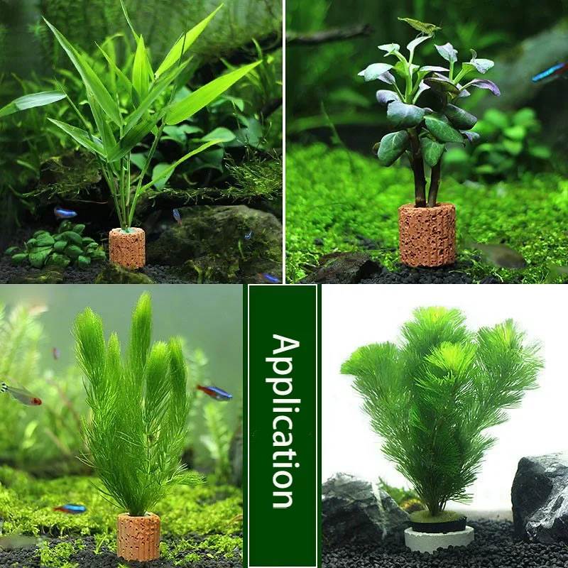 Fish Tank Ornaments Fish Tank Decorations Aquarium Ornaments Fish Tank Water Plants Fixed Base Planting Basin Aquarium Decorations Ceramic Ring Aquatic Plant Fixing Pot Polka Potted