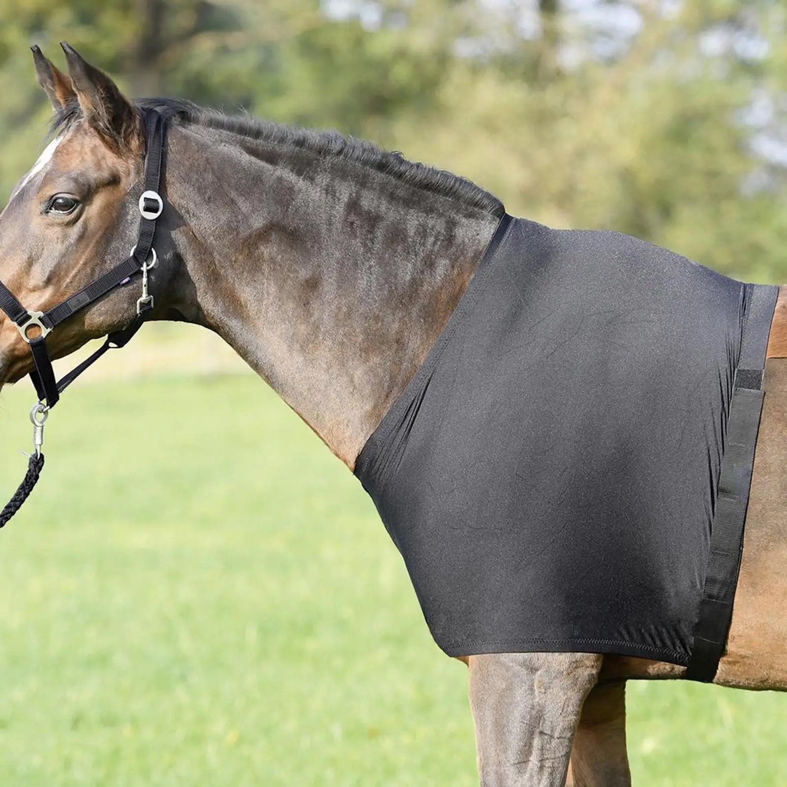 Horse Shoulder Guard Lightweight Horse Chest Saver Protector Cover Ventilated Guard Breathable Belly Equipment