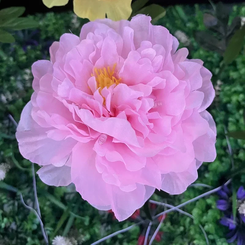 Slide image 65681ff23f984f678c5db81046e48460