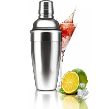Stainless Steel Cocktail Shaker 1