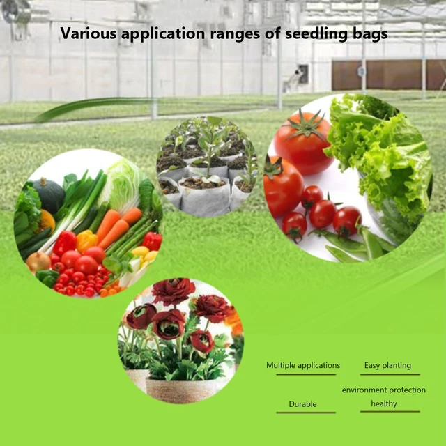 100Db Biológiailag Lebontható Óvodai Növénynövekedés Táskák Nem Szőtt Szövetek Palackok Edények Kerti Kertészkedés - Image 6