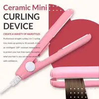 Customizable Hair Straightener MNJB23229 1