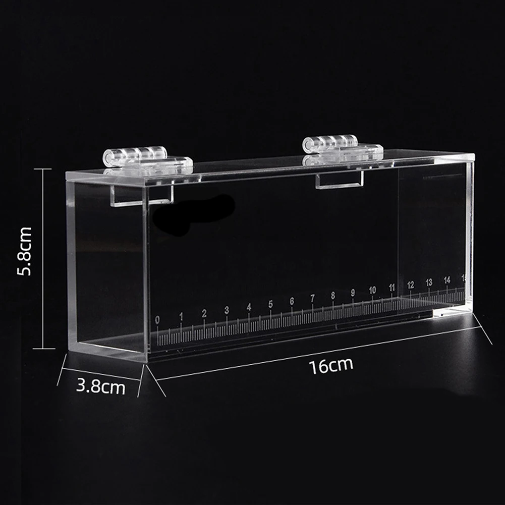 Title 4, Fish Viewing Box Acrylic Material Isolation Box...