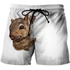 Funny Animal Squirrel Graphic Short Pants Summer Fashion  Cute Pet 3D Printed Beach Shorts For Men Casual Trunks Gym Trousers 1