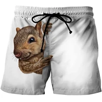 Funny Animal Squirrel Graphic Short Pants Summer Fashion  Cute Pet 3D Printed Beach Shorts For Men Casual Trunks Gym Trousers 1