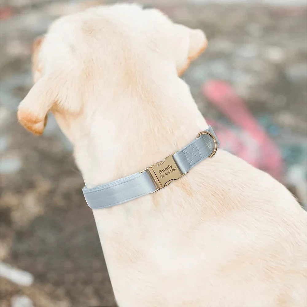    ֿ  Į      ID ± ׼ Į  ̸ ÷Ʈ    Chiens XS-L